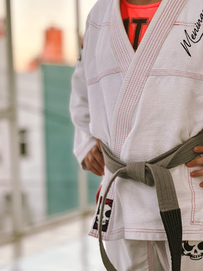 LEAU Fight Team