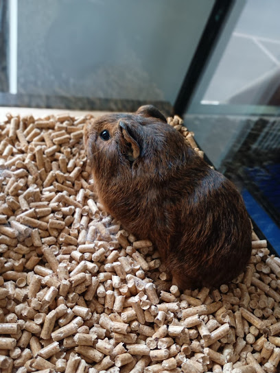 Mascote Animais Exóticos e Aquarismo