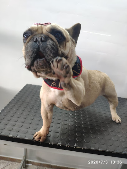 Pet Da Jéssy