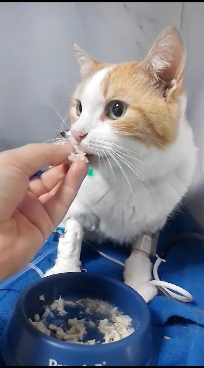 Trupe da Kuki Pet Shop